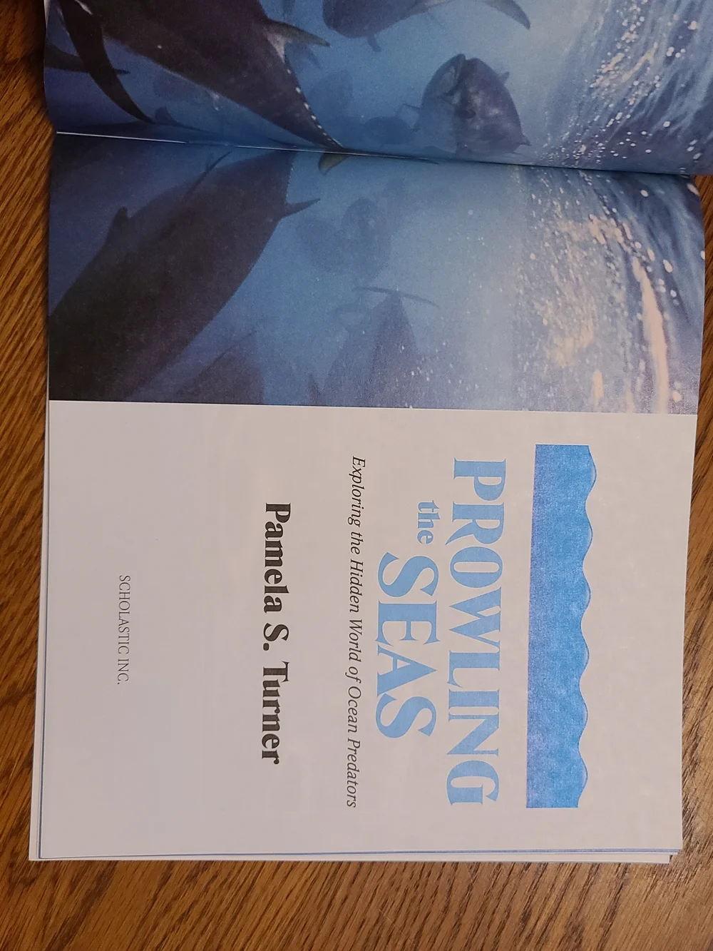Prowling the Seas By Pamela S. Turner